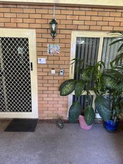 The singing frogs studio - Coffs Harbour - 4
