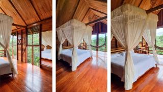 Sweet Home Amazon Region - Puyo - 5
