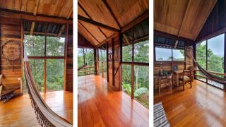 Sweet Home Amazon Region - Puyo - 4