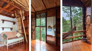 Sweet Home Amazon Region - Puyo - 3
