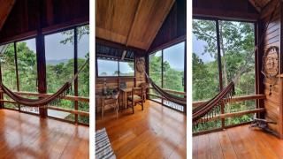 Sweet Home Amazon Region - Puyo - 2