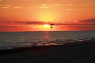 Luxurious 1 Bedroom Ocean Front in Las Palomas - Puerto Peñasco - 2