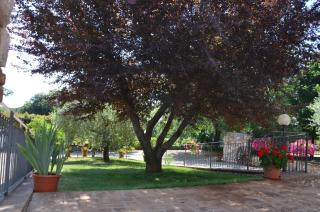Casale Santa Caterina - Amelia - 2