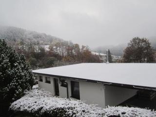 Deimann Modern retreat - Schmallenberg - 6