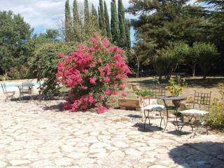 Camargue Modern retreat - Cavaillon - 4