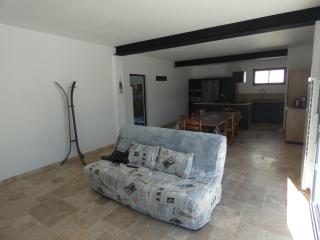 Maison moderne avec piscine, 700m des plages, 6-8 pers, animaux admis - FR-1-540-274 - Notre-Dame-de-Monts - 2