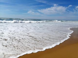 Appartement lumineux à 4 min de la plage avec terrasse, parking privé et WIFI ! - FR-1-239-999 - Seignosse - 8