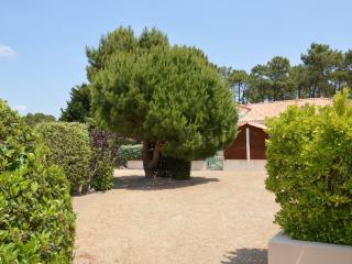 Maison 4-5 pers à Saint Jean de Monts avec piscine, proche plage et forêt - FR-1-323-478 - Saint-Jean-de-Monts - 1