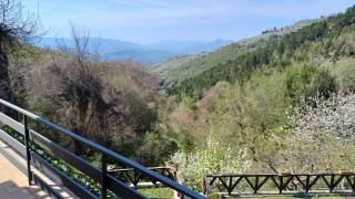 CASA VACANZA LE TERRAZZE - Serrone - 6