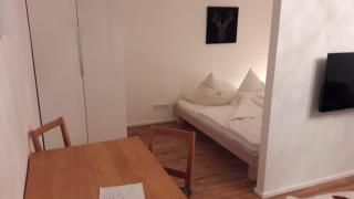 FeWo Wurmberg Domizil ZZ-BRAUNLAGE - Braunlage - 6