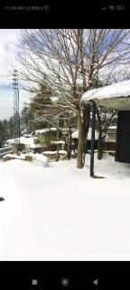 The Teal Cottage - Murree - 6