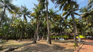Coco Hut , Devbaug - Malvan - 7