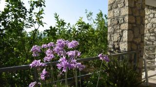 Coastal Stone Hideaway with Stunning Scenery - Kitriaí - 6