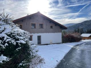 L'Alcôve - Chalet avec Piscine - Xonrupt-Longemer - 6