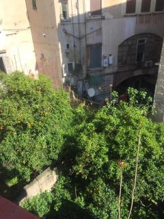 IL MIGLIO - Naples - 6