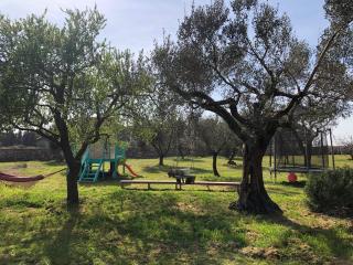 countryside experience - 2