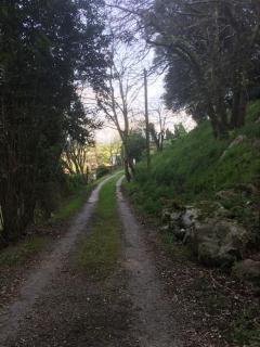 Los Acebos de Peña Cabarga, Cúpula experiencias - 5