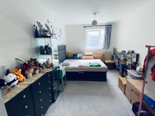 Your ideal ExCel London- O2 Arena - LCY Airport homestay - Barking - 9