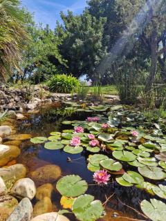 Cortijo Nerja Artist Paradise - Nerja - 3