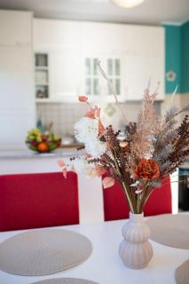 App Nevis - Umag - 7