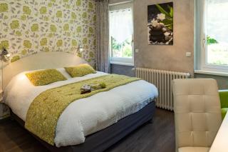 Logis Hotel Des Vosges - 6