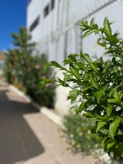 Maria's Entire House HIGUEY 2BD - 3