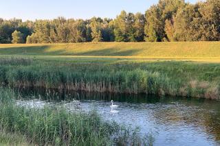 Hotel Ponteo - Activity Park - 2