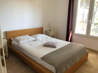 Beautiful Villa with pool! - Vidauban - 1
