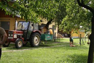 Bauernhof-Pension Puschnikhof - Unternarrach - 0