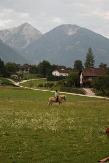 Bauernhof-Pension Puschnikhof - Unternarrach - 7