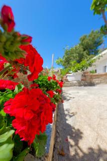 Flower Vila - Sarandë - 7