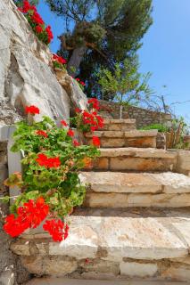 Flower Vila - Sarandë - 6