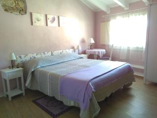 Il Cortile Friendly House - 3