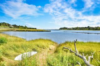 Seaside Retreat w Private Beach Landing - Eastham - 6