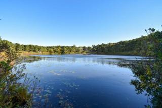 Spacious Home with Direct Pond Access! - 7