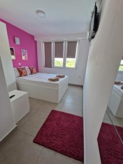 Flamingo Resort - Belgrade - 9