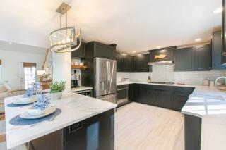 In-Ground Plunge Pool Dog Friendly! - 2