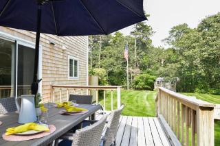 Dogs welcome huge yard right next to Rail Trail - Harwich - 9