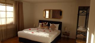 aNNa s Cozy Home with Private Forest, Canopy Terrace & Parking, near Red Bull Ring - 5