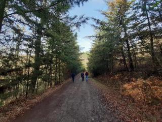 Quinta da Peça Douro Wine Region Retreat, Private Pool Villa - 6