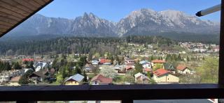 Zefir Apartments - Buşteni - 0