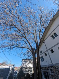 BAM Hotel - Vama Veche - 8