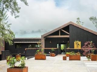 Hôtel le Tuit-Tuit - La Plaine des Palmistes - 0