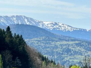 Willa Sonia Zawoja - 2