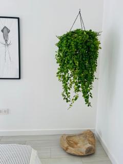 CASA MIRABEL - Villaverde - 1