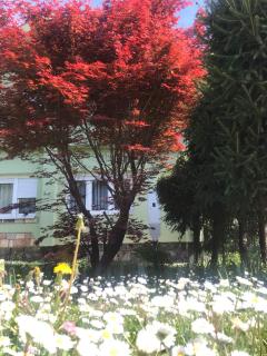 Garden's apartman - Kosjerić - Kosjerić - 9