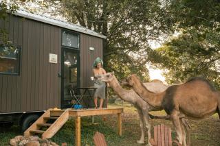 Afbeelding van de locatie