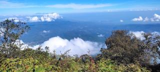 Buana Asti Room and Warung with Rice Field view - 9