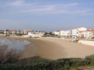 Studio spacieux face à la mer avec terrasse et animaux acceptés - FR-1-494-47 - Royan - 3