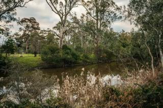 Northern Grampians Getaway by Tiny Away - 7